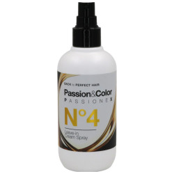 Exclusive Professional Passionex Νο4 Leave-in Cream Spray 250ml / Μη Ξεβγαλώμενη Κρέμα Μαλλιών