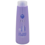 Ablolute Sleek Hair Shampoo Vegan Free SLS 1000ml / Σαμπουάν Μαλλιών Λείανσης Χωρίς Θειϊκά Άλατα