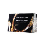 Exclusive Professional Passionex Plex Step No2+ Rebuilder Ice Effect 500ml / Βήμα Νο2 Θεραπείας Plex για Ξανθά Μαλλιά