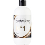 Exclusive Professional Passionex Plex Step No1 500ml / Βήμα Νο1 Θεραπείας Plex