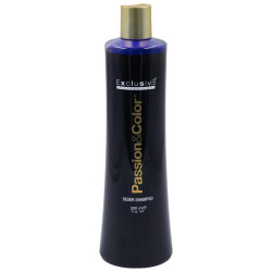 Exclusive Professional Hair Silver Shampoo 500ml / Σαμπουάν Μαλλιών Κατά των Ανεπιθύμητων Κίτρινων αποχρώσεων